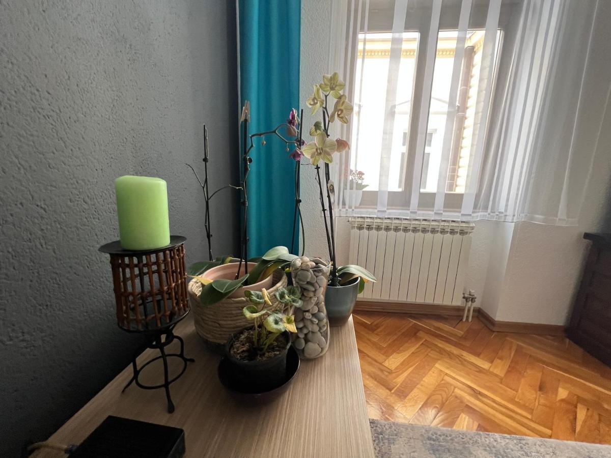 Djana Apartment Sarajevo Exterior photo